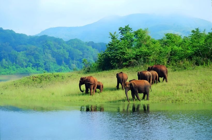 Kerala Backwaters 3 Nights 4 Days photo 3