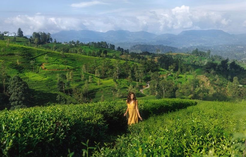 Kerala Backwaters 3 Nights 4 Days photo 4