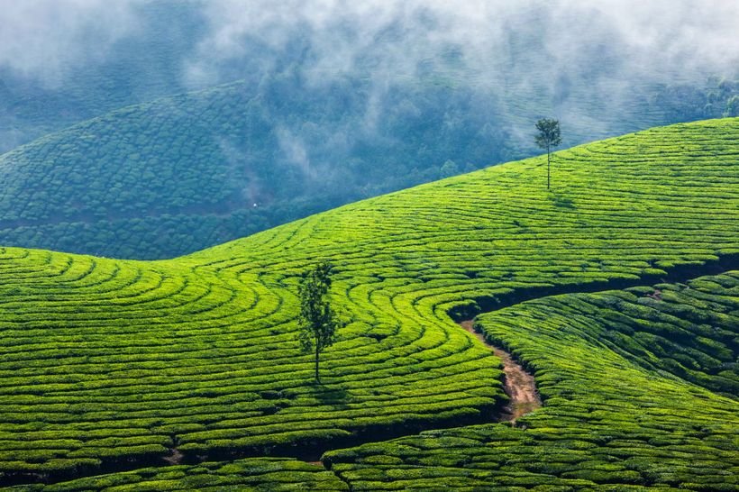 Kerala Backwaters 3 Nights 4 Days photo 6