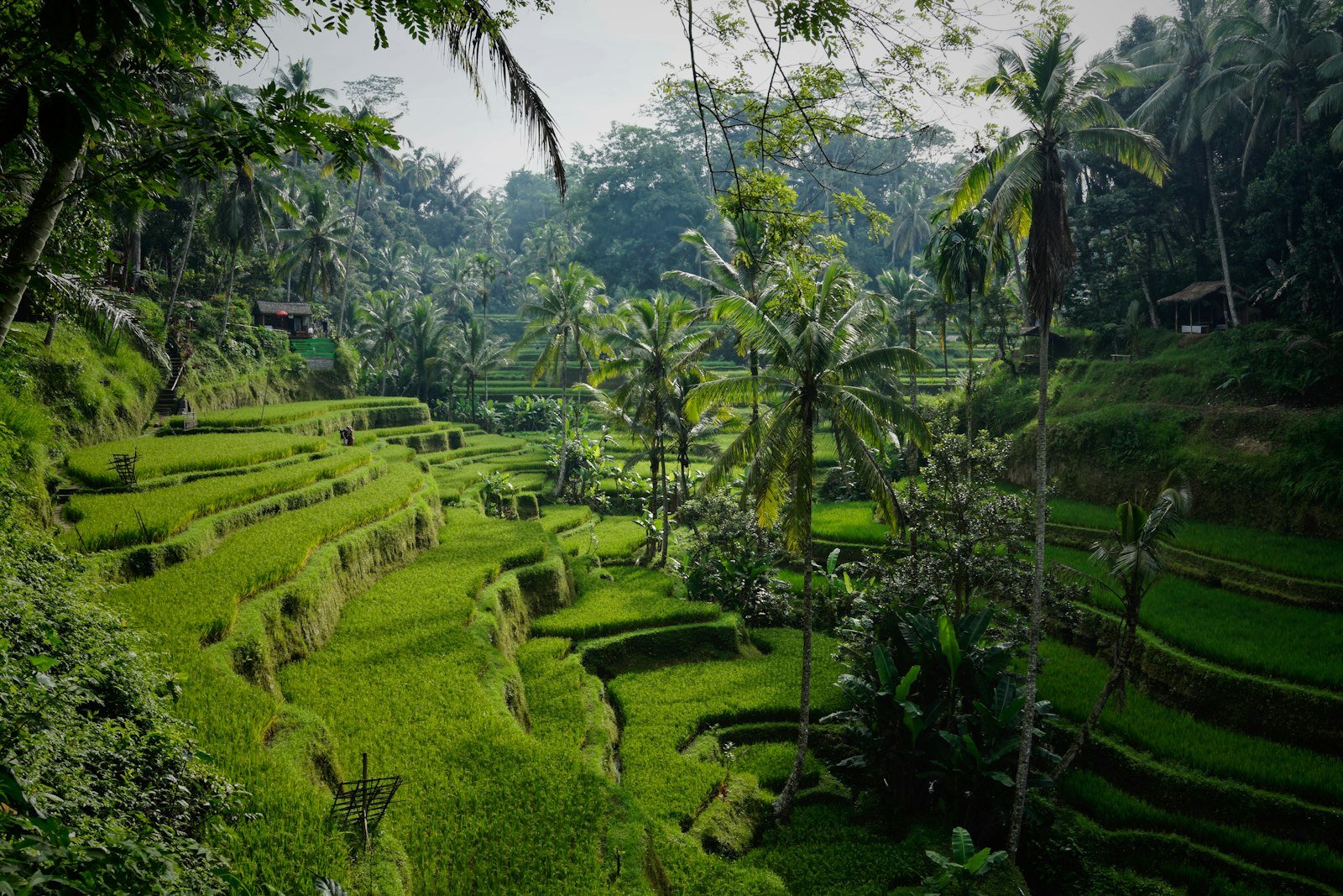 Bali Honeymoon Retreat — Temples, Cliffs & Candlelight photo 2