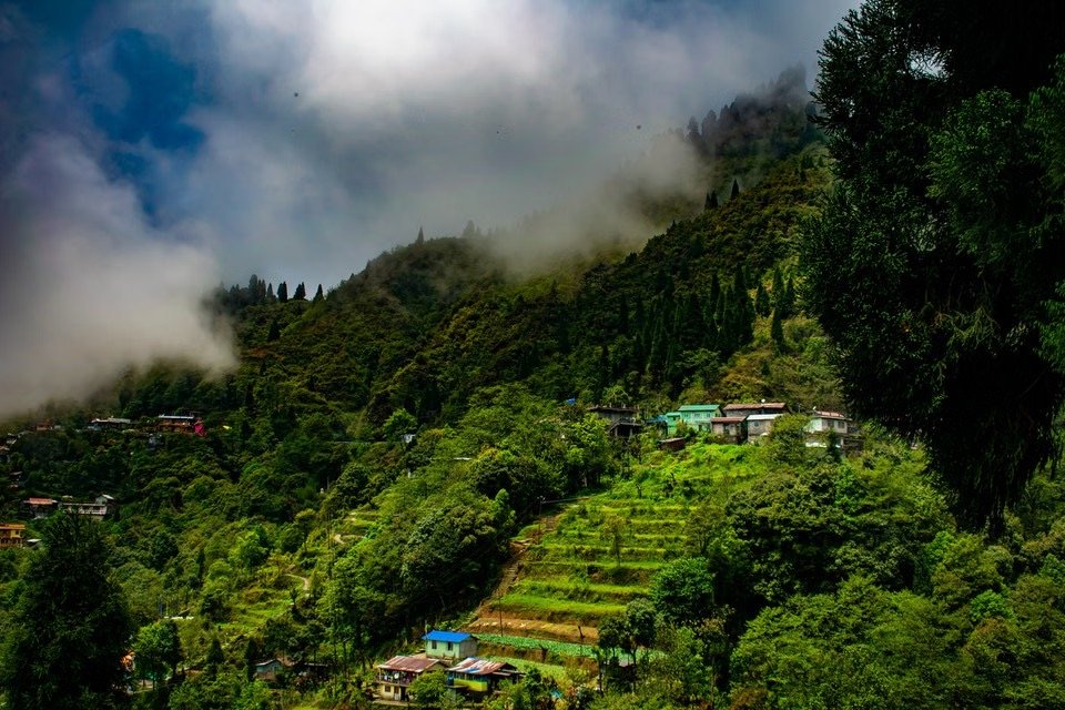 Budget Sikkim Tour Package photo 6
