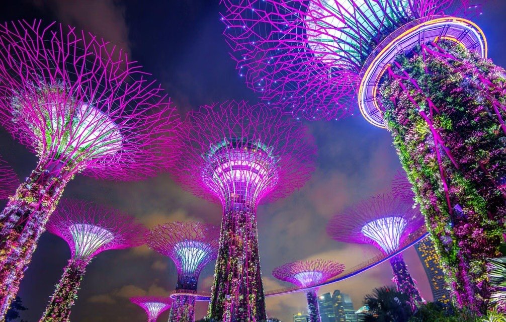 Jewels of Singapore — City, Gardens & Sentosa photo 4