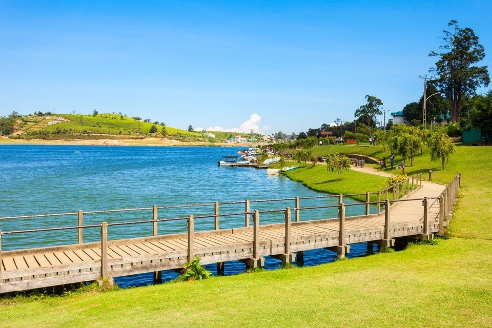 Exotic Sri Lankan Paradise — Hills, Tea Country & Beach photo 4