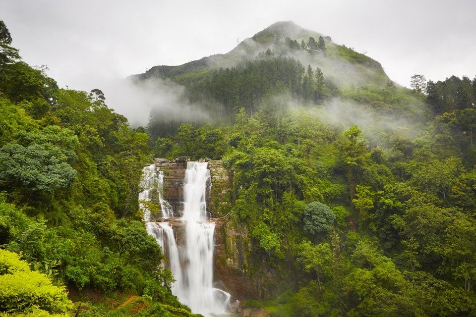 Exotic Sri Lankan Paradise — Hills, Tea Country & Beach photo 6