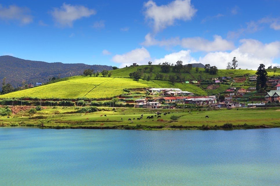 Jewels of Sri Lanka — Kandy, Bentota & Colombo photo 3